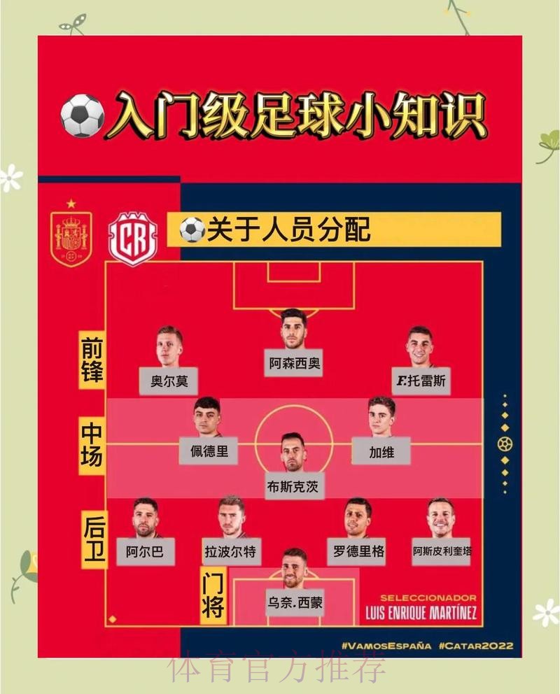 如何进行世界杯下注开户全站指南